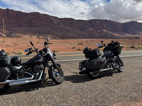 Harley-Davidson Softail