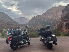 Harley-Davidson Softail