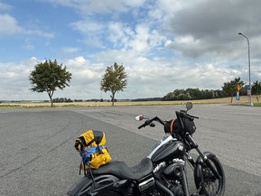 Harley-Davidson Dyna