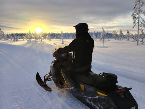 Ski-Doo MX Z