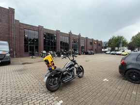 Harley-Davidson Dyna