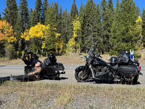 Harley-Davidson Softail