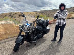 Harley-Davidson Softail