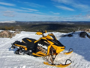 Ski-Doo MX Z