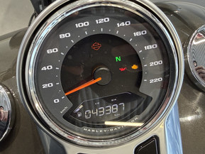 Harley-Davidson Softail