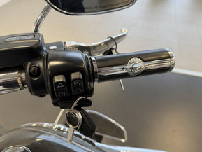 Harley-Davidson Softail