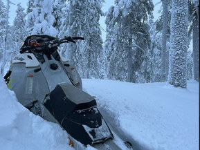 Ski-Doo Freeride