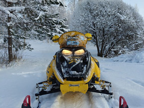 Ski-Doo MX Z