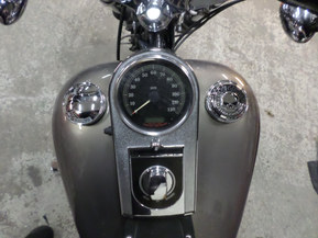 Harley-Davidson Softail