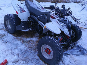 Polaris Predator