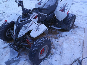 Polaris Predator