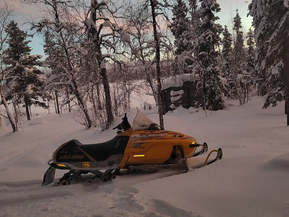 Ski-Doo MX Z