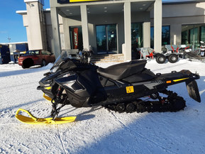 Ski-Doo Renegade
