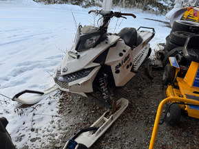 Ski-Doo Freeride