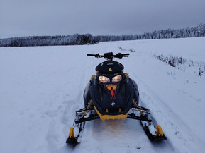 Ski-Doo MX Z