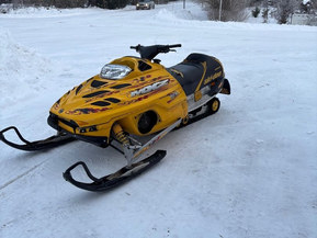Ski-Doo MX