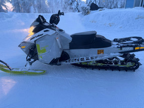 Ski-Doo Freeride