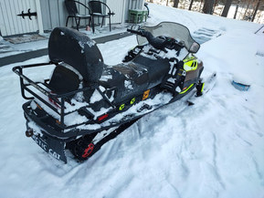 Arctic Cat Panther