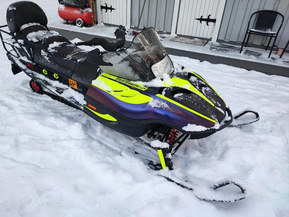 Arctic Cat Panther