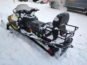 Arctic Cat Panther