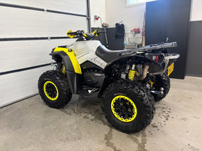 Can-Am renegade