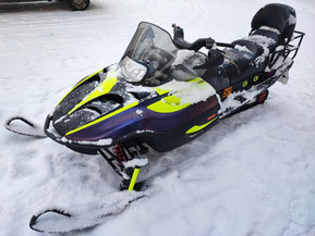 Arctic Cat Panther