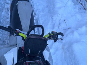 Ski-Doo Freeride