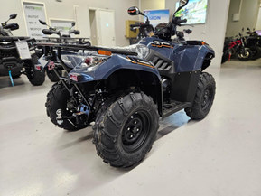 Kawasaki Brute Force