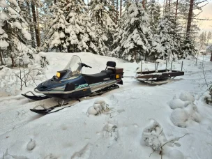 Yamaha Enticer