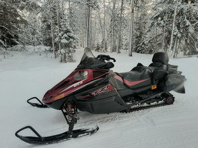 Arctic Cat TZ1