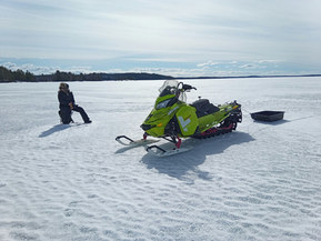 Ski-Doo Freeride