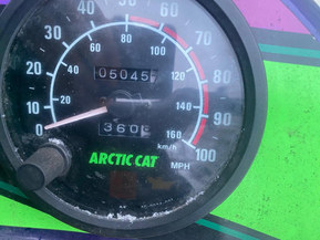 Arctic Cat Puma