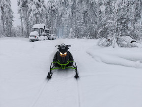 Arctic Cat XF