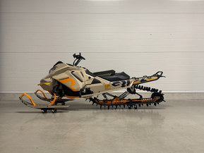 Ski-Doo Freeride