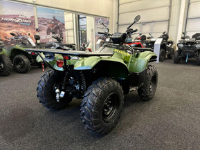 Yamaha Kodiak