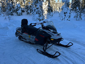 Ski-Doo MX Z
