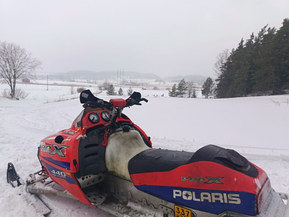 Polaris 440 IQ