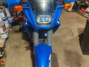 Suzuki DR