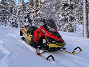 Ski-Doo Renegade