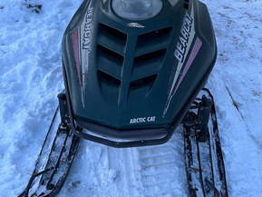 Arctic Cat Bearcat