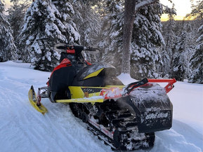 Ski-Doo Renegade