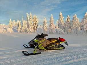 Yamaha Sidewinder