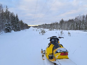 Ski-Doo MX Z