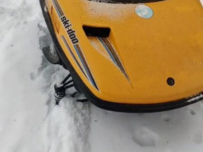 Ski-Doo Safari