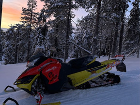 Ski-Doo Renegade