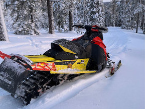 Ski-Doo Renegade