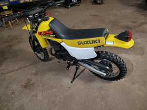 Suzuki DS