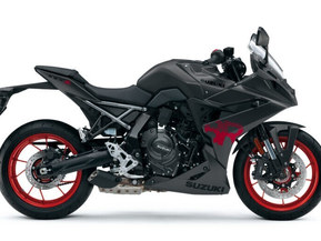 Suzuki GSX