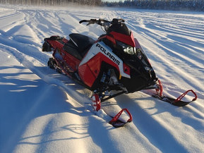 Polaris SwitchBack