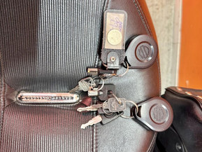 Harley-Davidson Softail